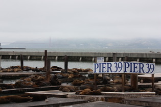 Fisherman's Wharf (Pier 39)