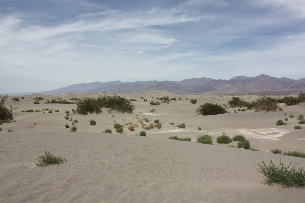 Death Valley - Ouest Américain