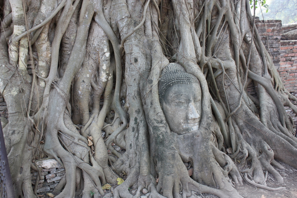 Wat Phra Mahathat à Ayutthaya