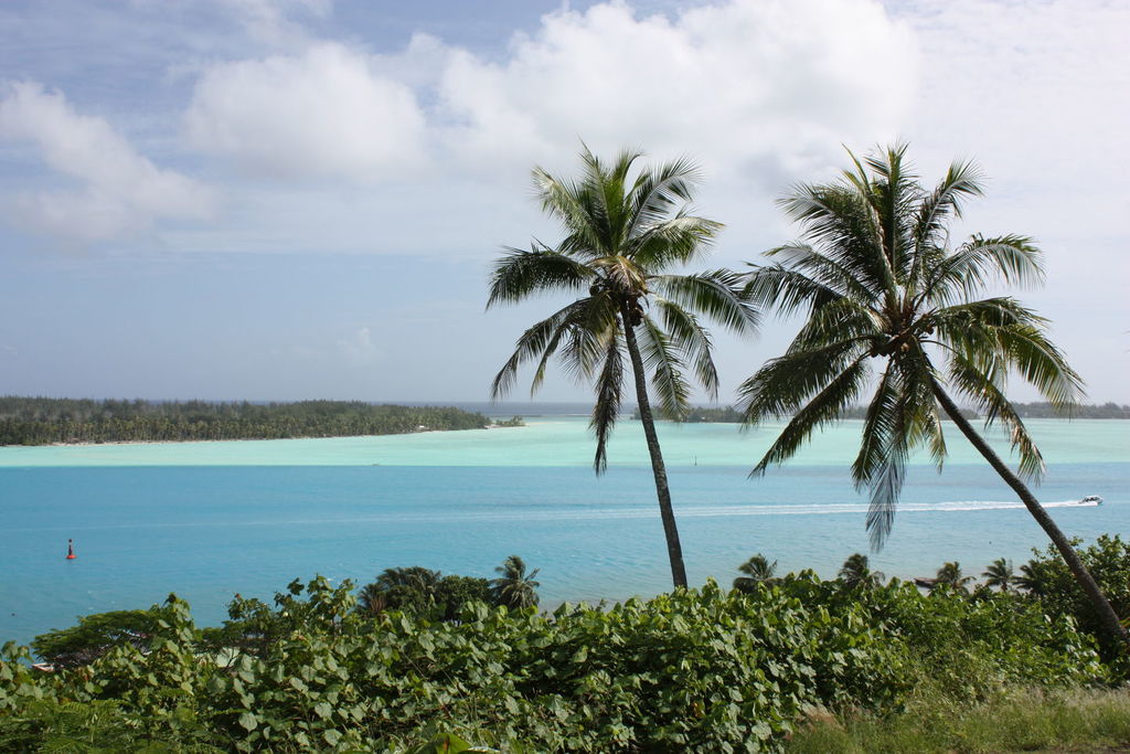 Le lagon aux plusieurs dégradés de bleus à Bora Bora