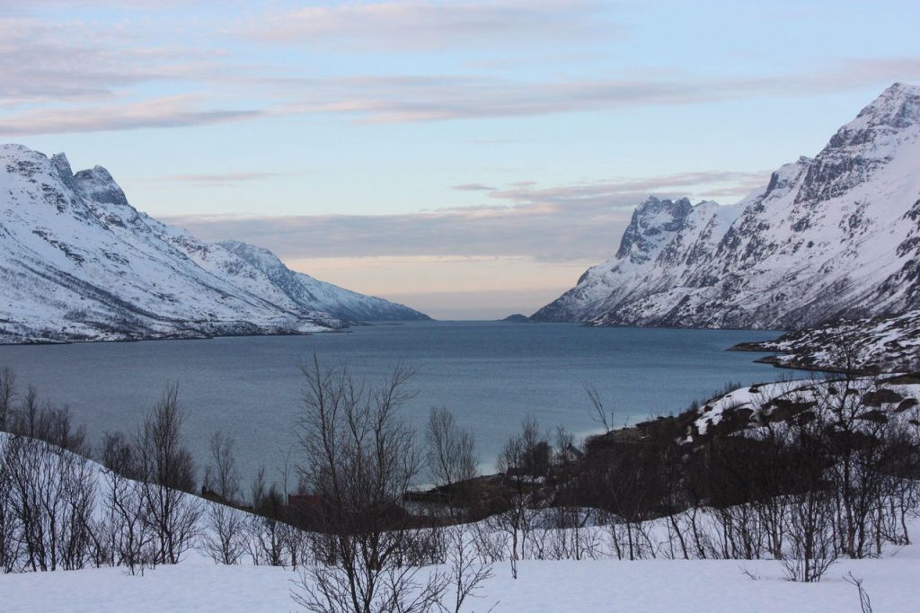 Le Fjord de Ersfjord près de Tromso