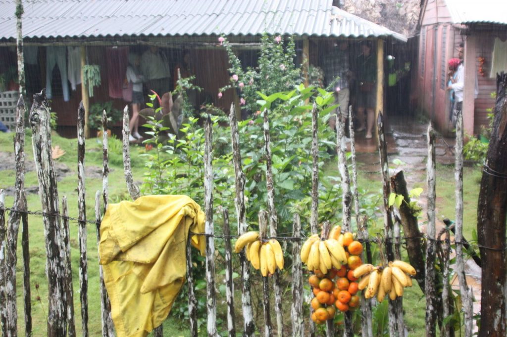 Baraque à fruits à Baracoa à Cuba