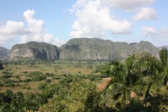 Viñales Viñales