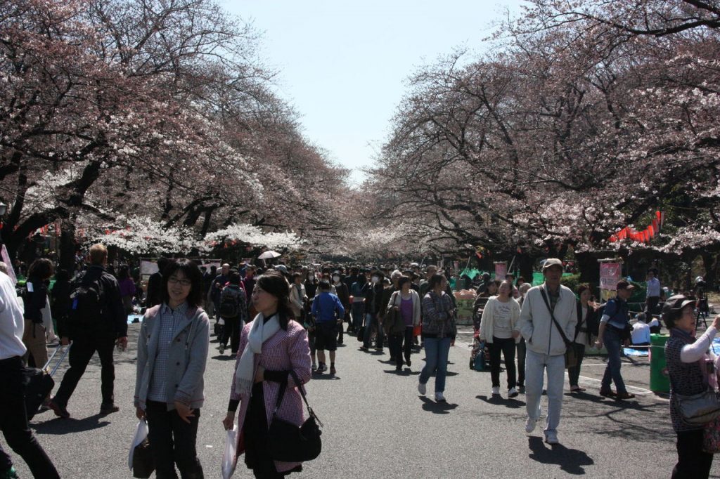 Parc de Ueno à Tokyo au Japon