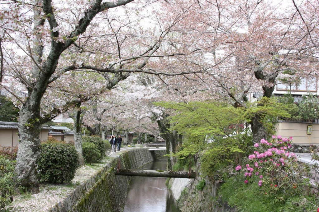 Le Chemin des Philosophes à Kyoto au Japon