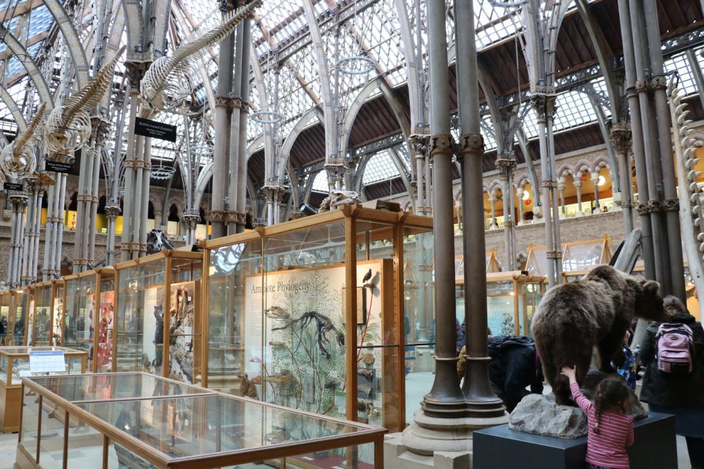 Museum of Natural History d'Oxford en Angleterre