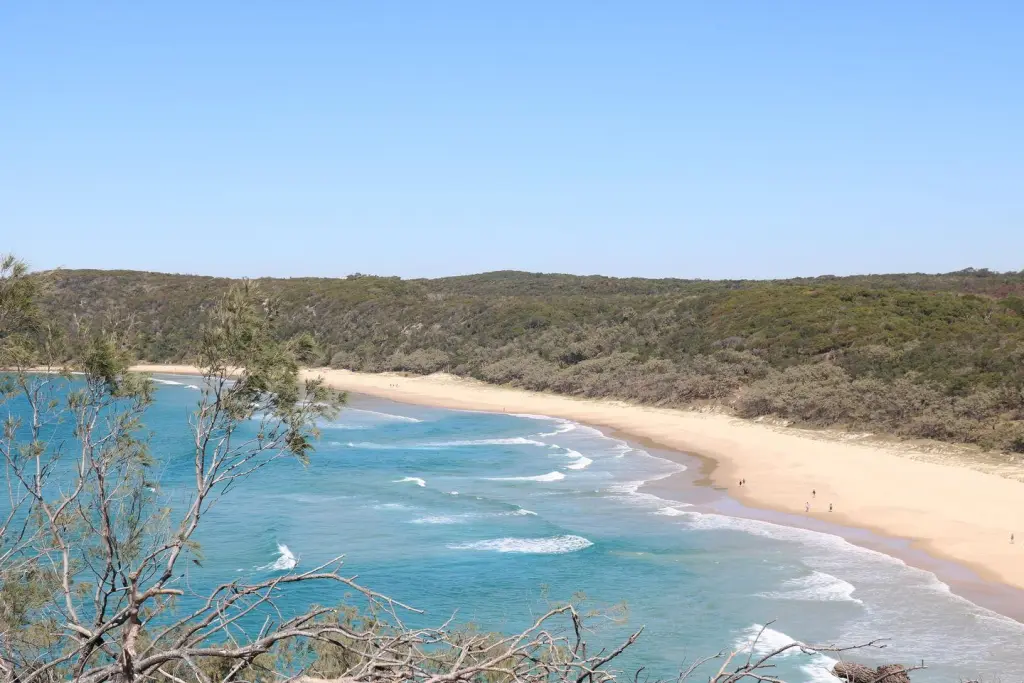 Coastal Track dans le parc national de Noosa