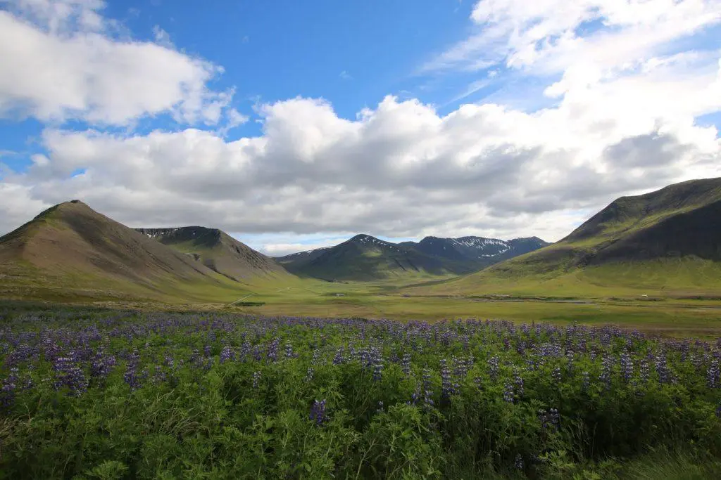 Fjords de l'ouest