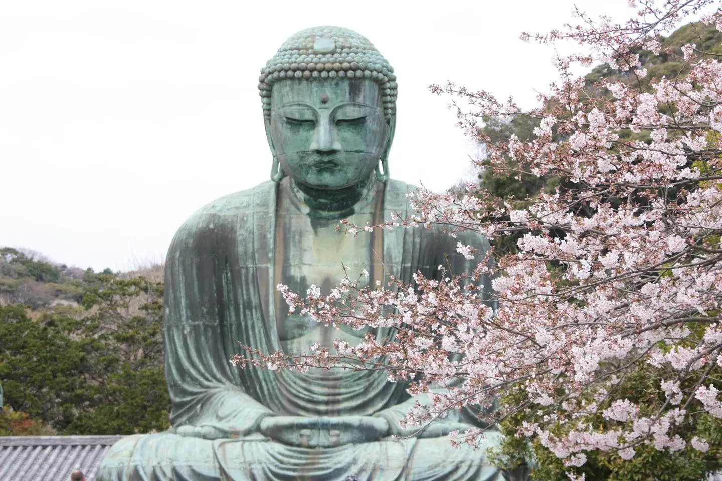 Road trip au Japon : Tokyo, Kyoto, Hiroshima et le mont Fuji