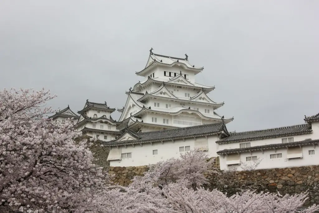 Château de Himeji au printemps