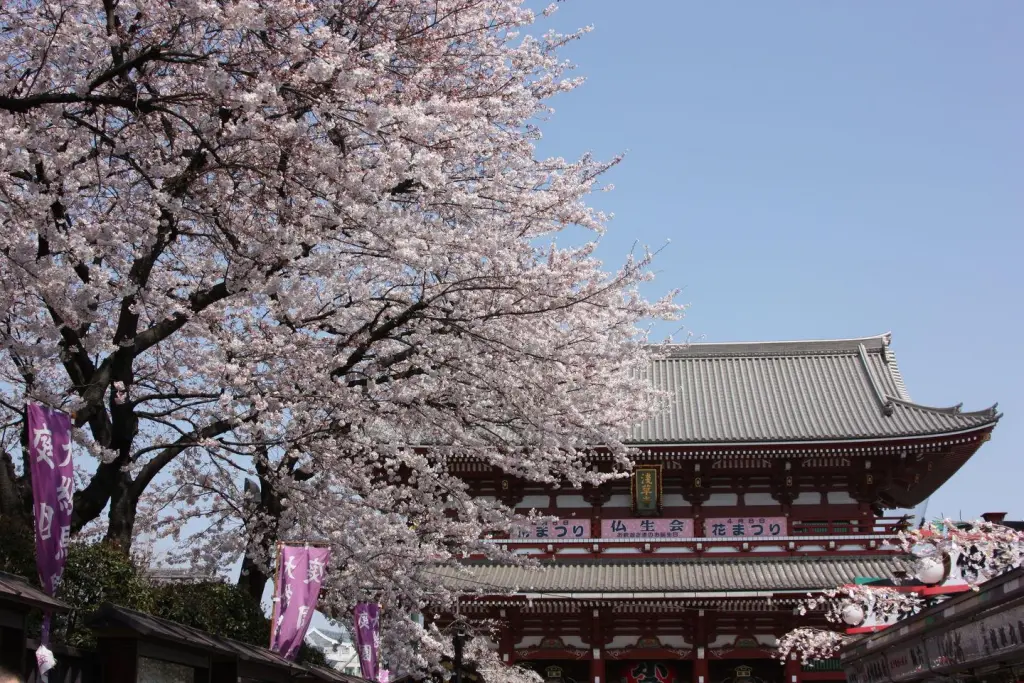 Tokyo, première immersion japonaise