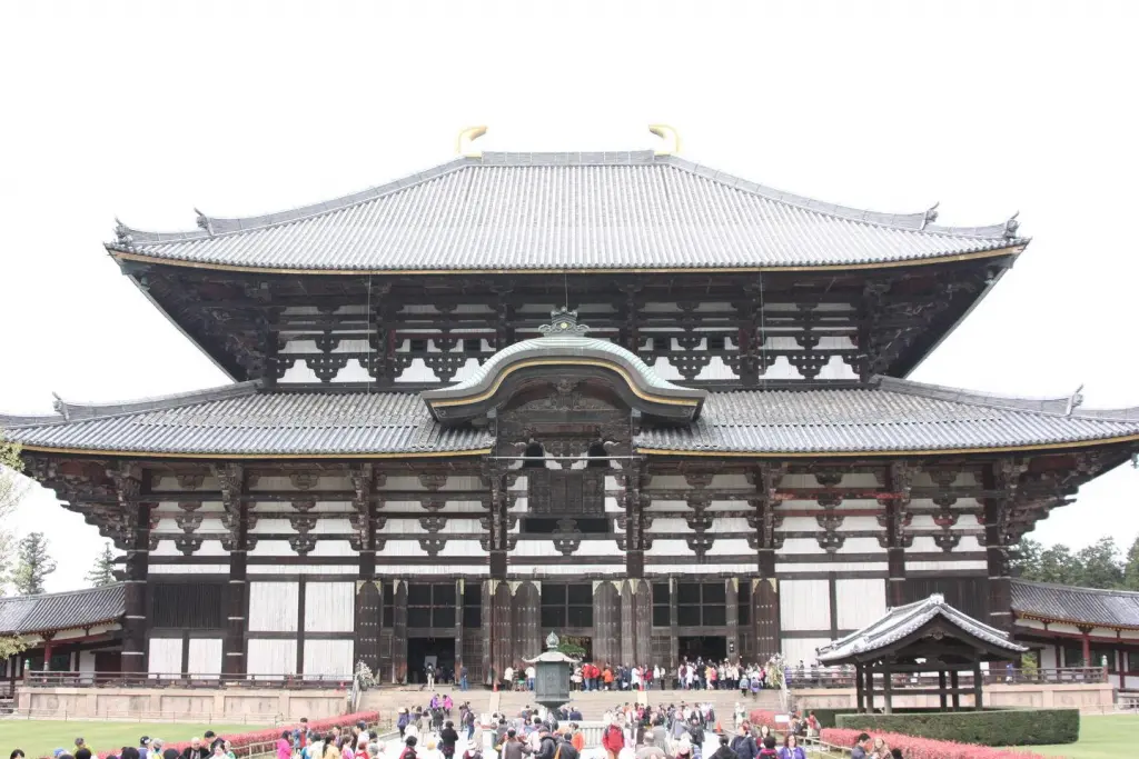Temple Todai-ji à Nara
