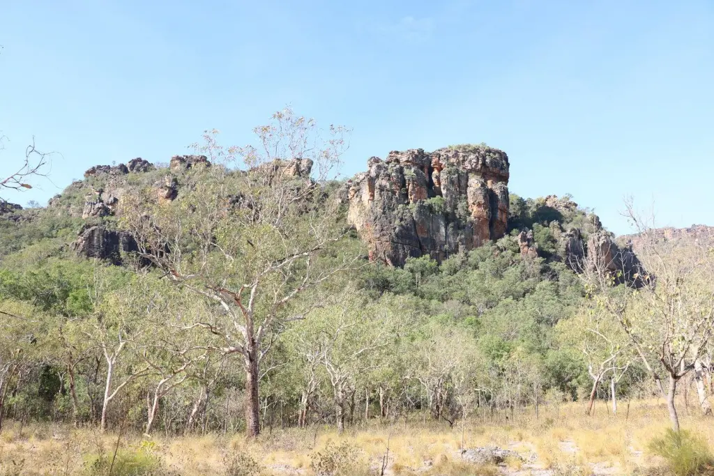 Peintures aborigènes à Nourlangie Rock