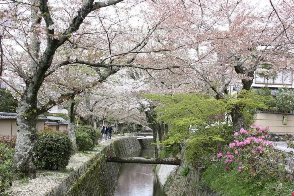 Chemin des Philosophes à Kyoto