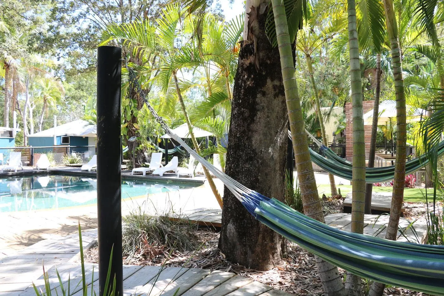 Bungalow Koalas a Magnetic Island