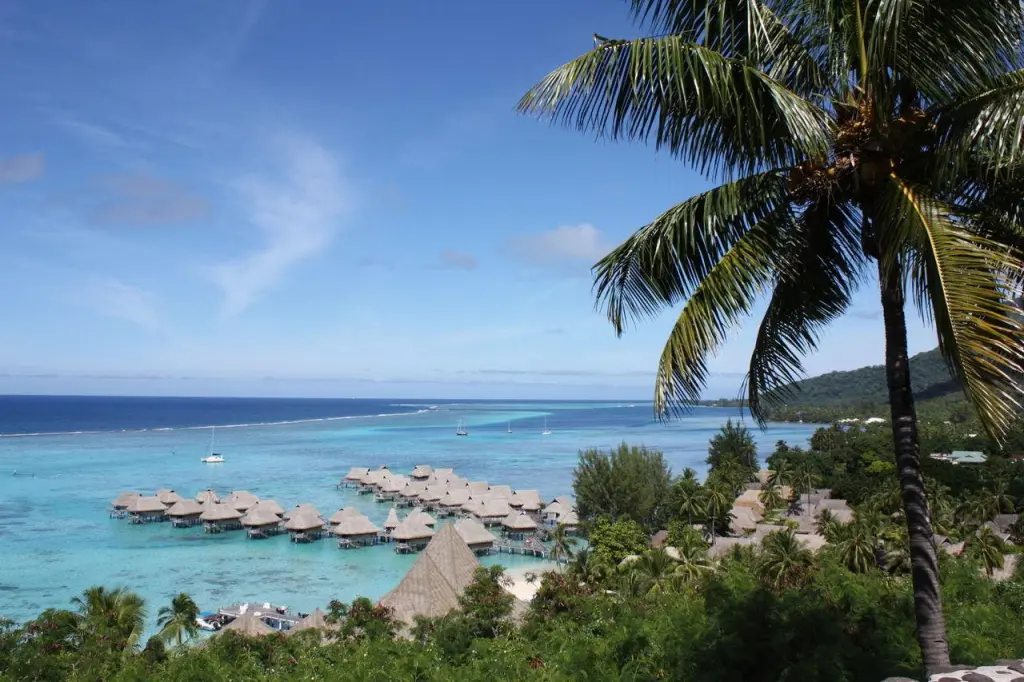 Point de vue de Toatea à Moorea