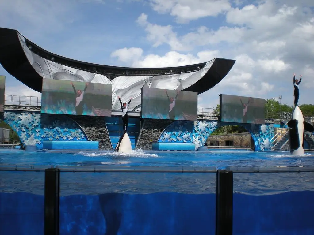 SeaWorld à Orlando lors de notre voyage en Floride