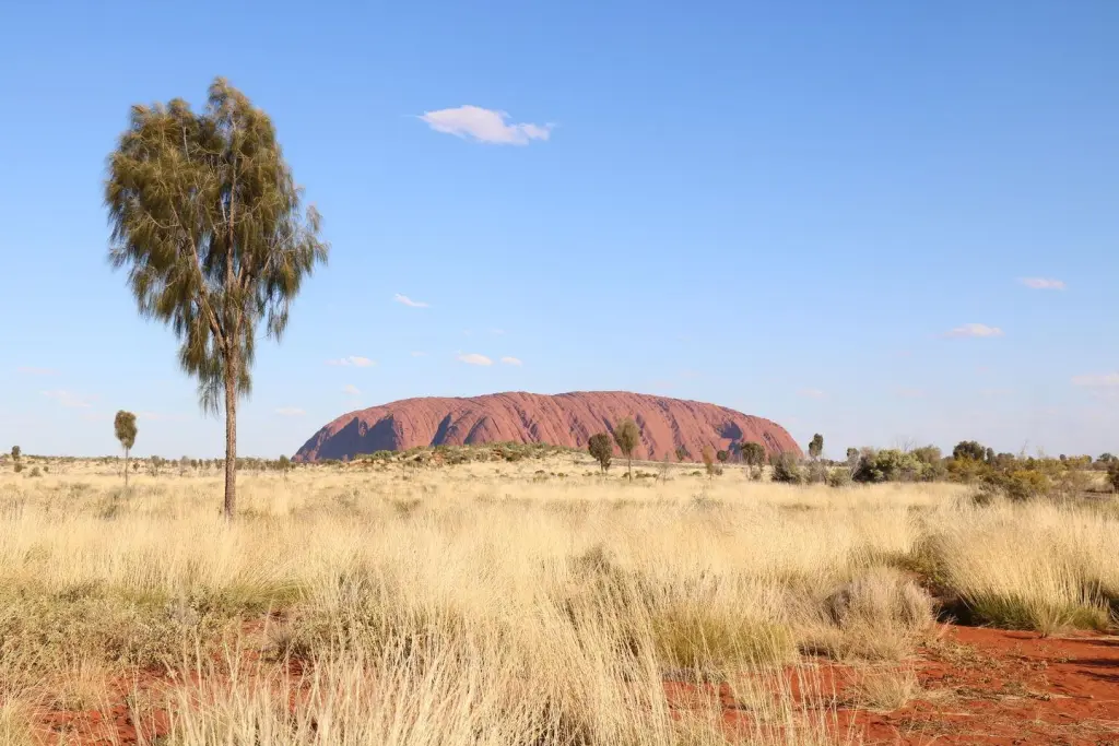 Uluru en fin de journée avant le coucher du soleil