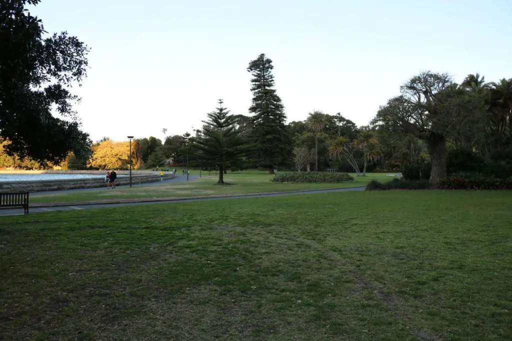 Pelouses et allées du Royal Botanic Garden à Sydney