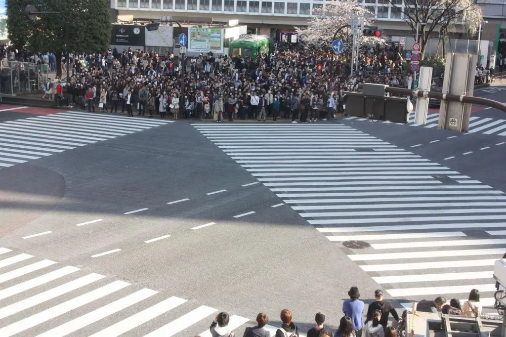 Carrefour de Shibuya vu depuis la rue