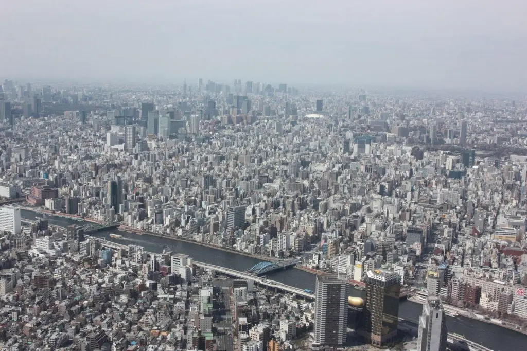 Vue depuis la Tokyo Skytree