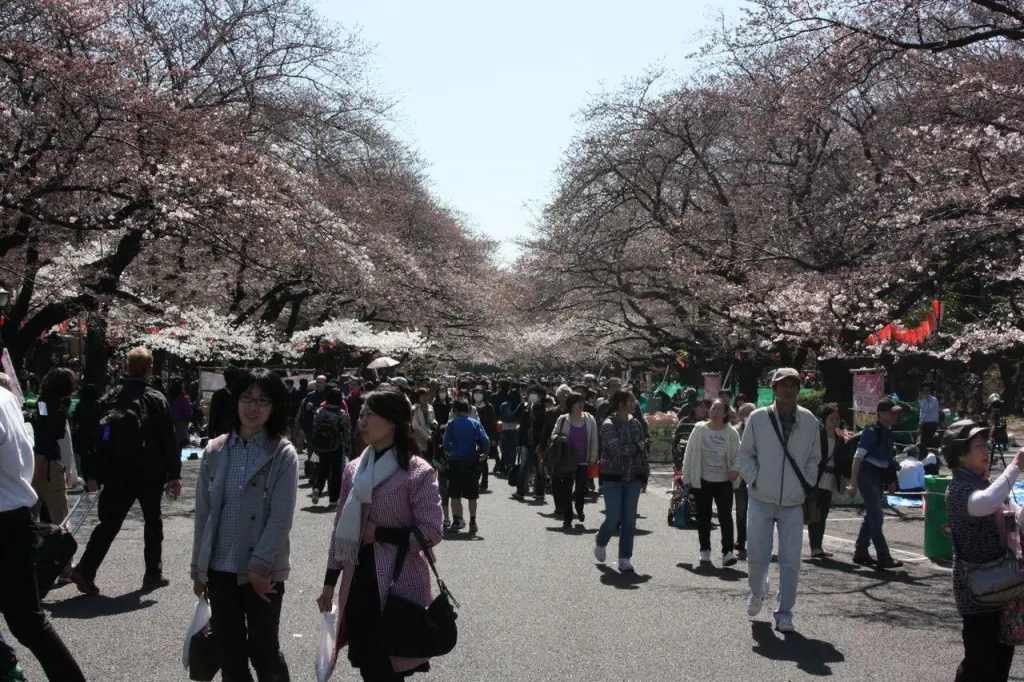 Allée du parc de Ueno à Tokyo