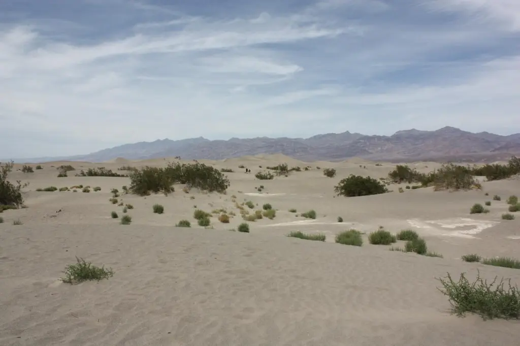 Premiers paysages de la Death Valley