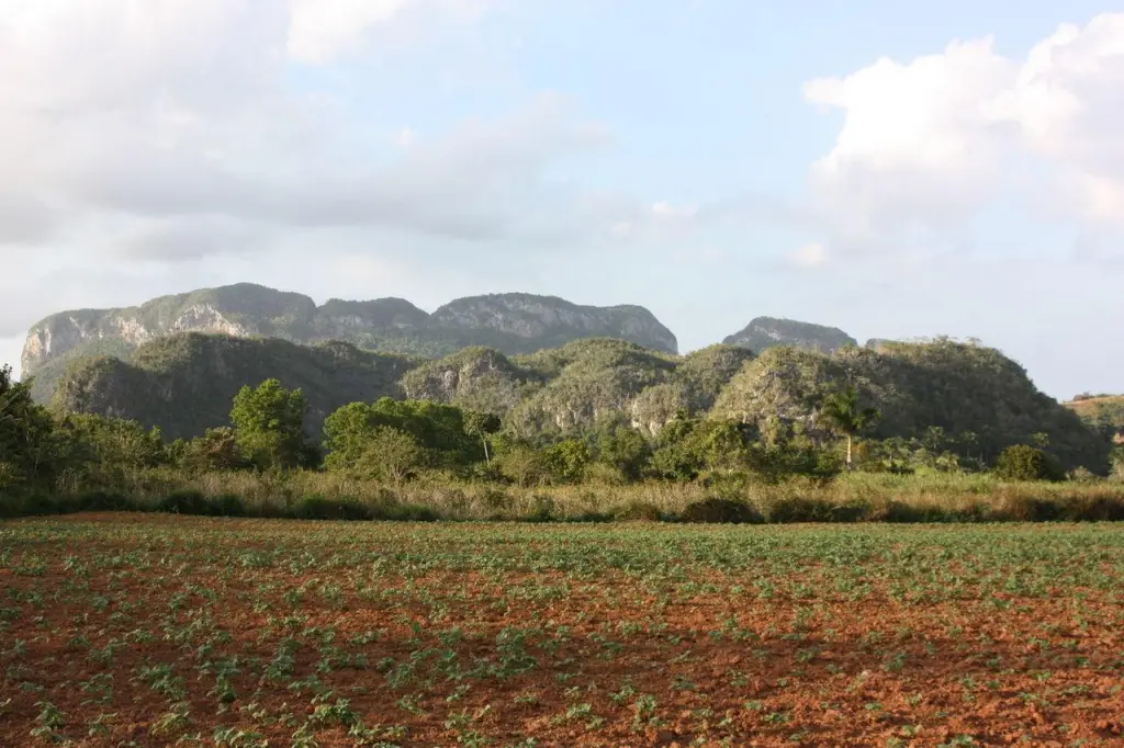 Vue sur la vallée de Viñales pendant la randonnée