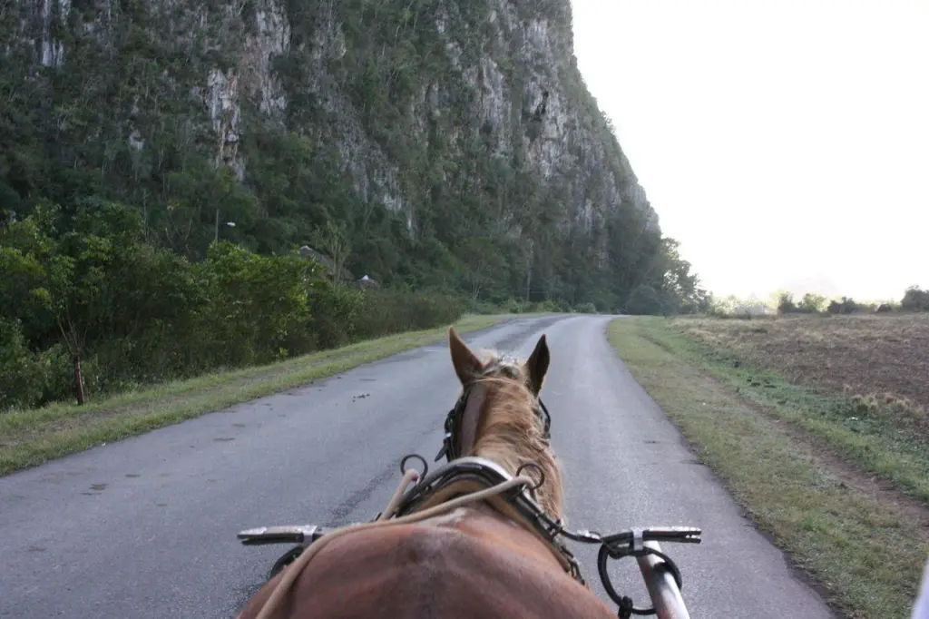 Carriole de retour après la randonnée à Viñales