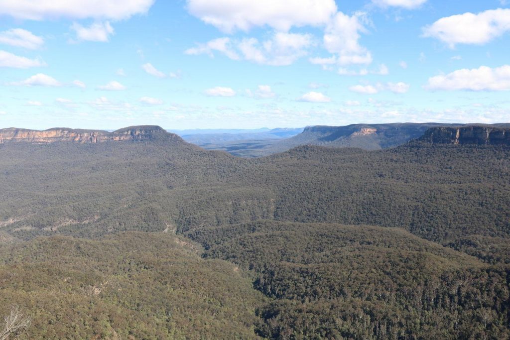 Blue Mountains