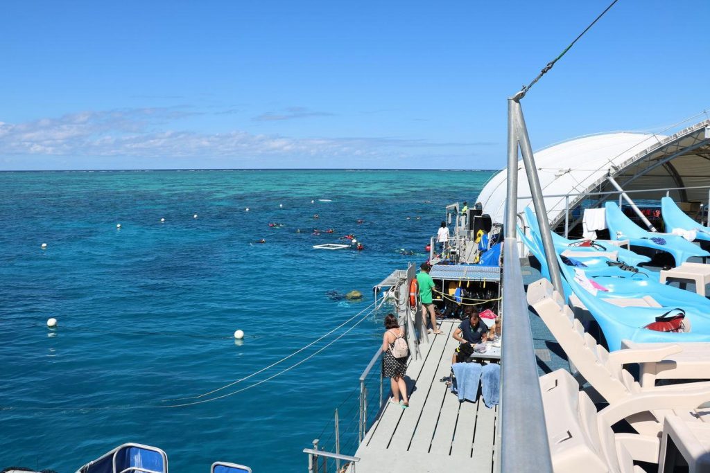 Snorkeling sur la Grande Barrière