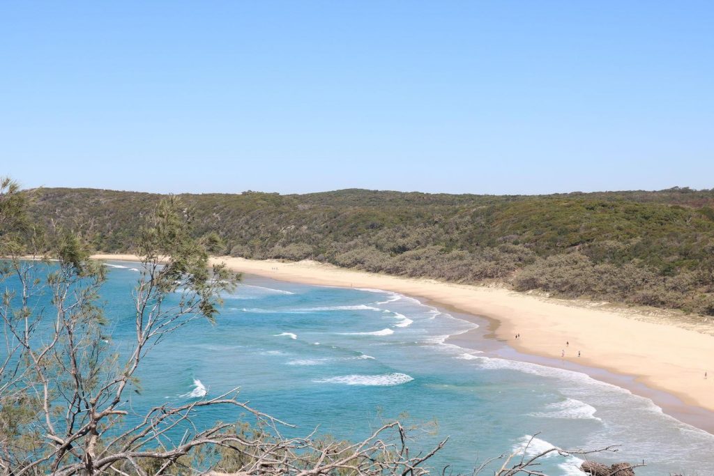 Coastal Track dans le parc national de Noosa