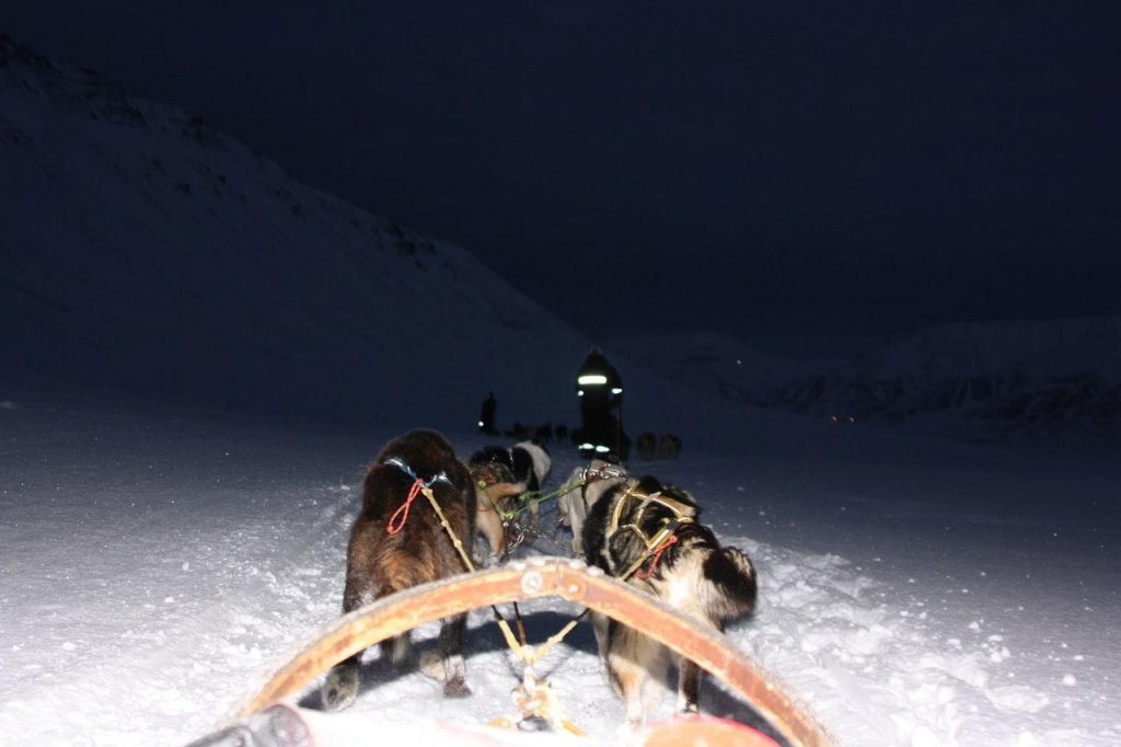 Premier attelage en mouvement sur la neige du Svalbard