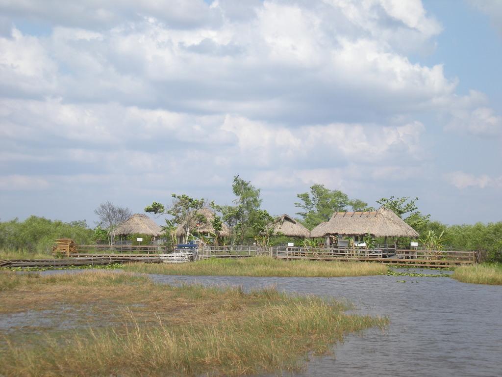 Paysage des Everglades