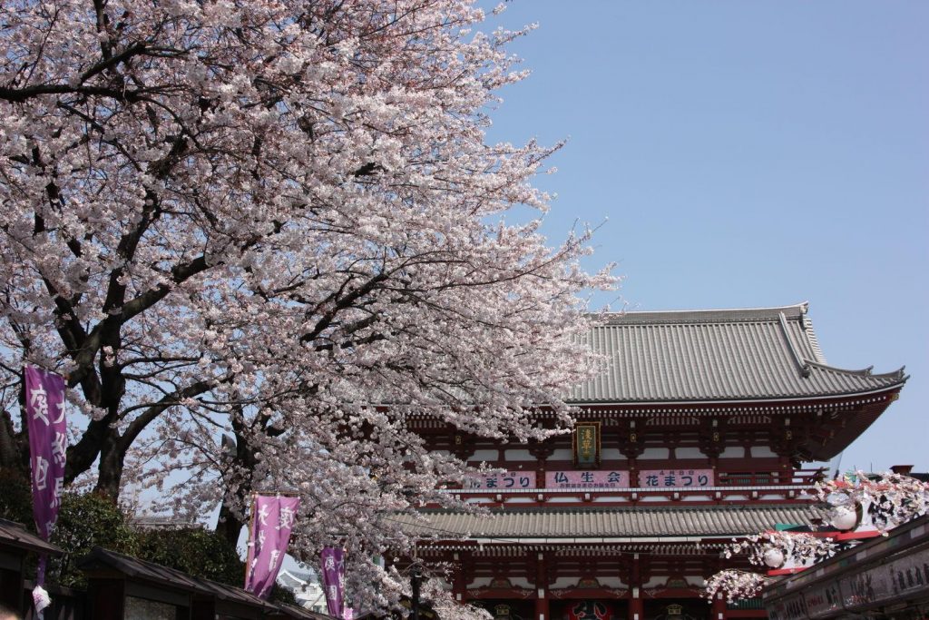 Tokyo, première immersion japonaise