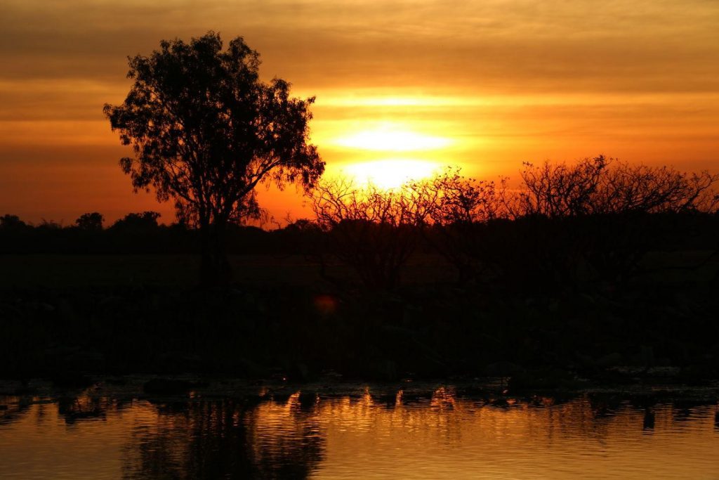Lumière du soir à Yellow Water