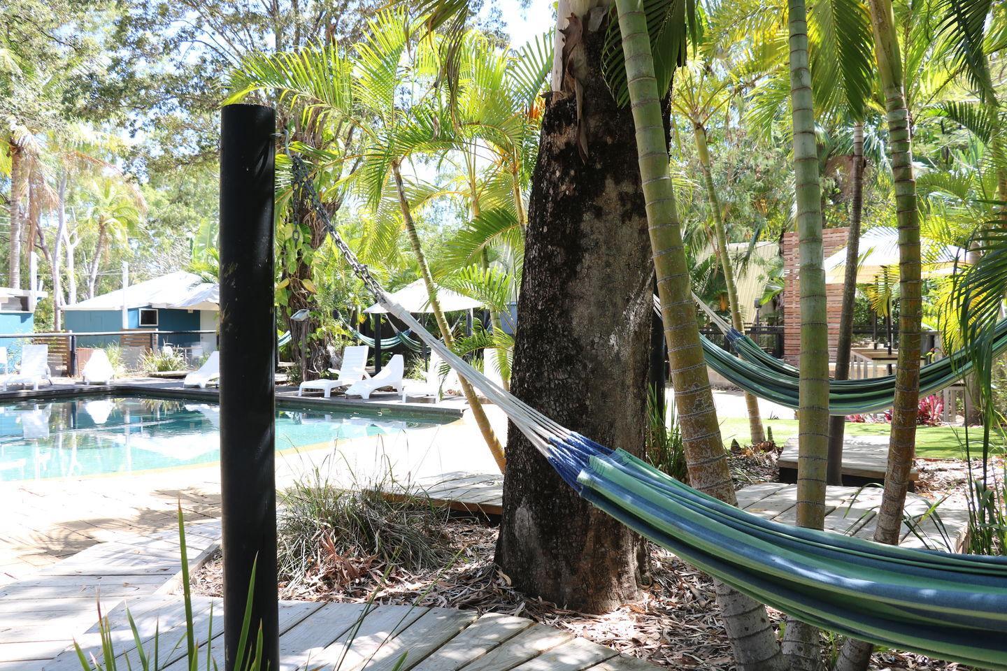 Bungalow Koalas a Magnetic Island