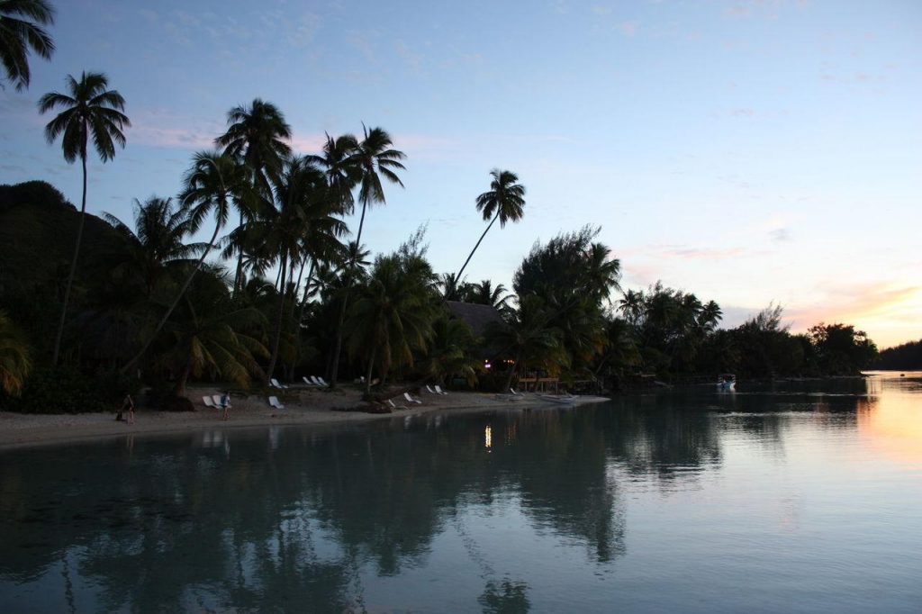 Hôtel Les Tipaniers à Moorea