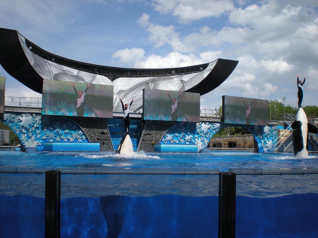 SeaWorld à Orlando lors de notre voyage en Floride