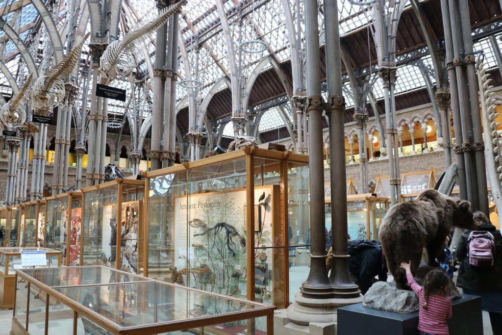 Oxford University Museum of Natural History