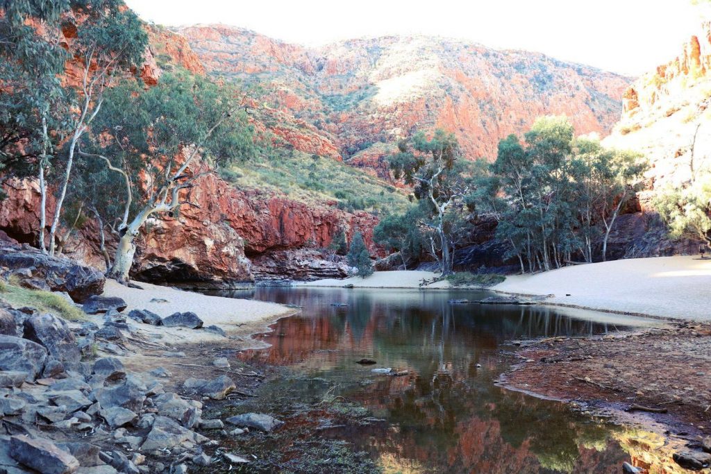 Panorama sur Ormiston Gorge dans les West MacDonnell Ranges