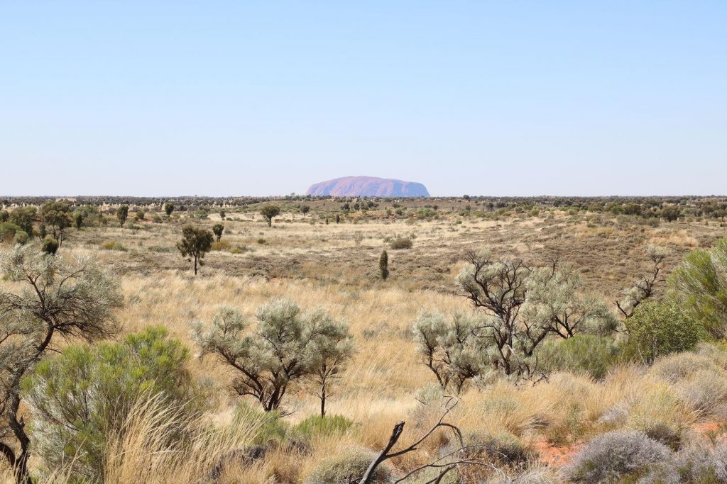 Première vue sur Uluru dans le désert australien