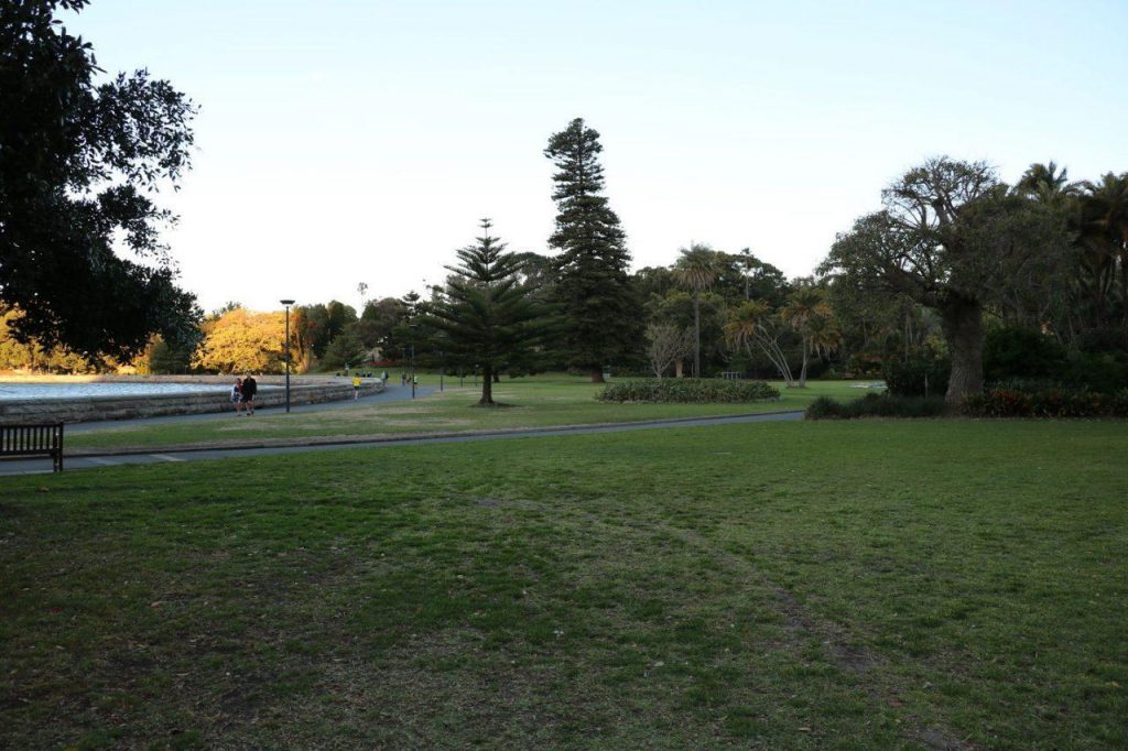 Pelouses et allées du Royal Botanic Garden à Sydney