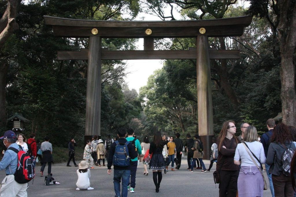 Allée du sanctuaire Meiji Jingu à Tokyo
