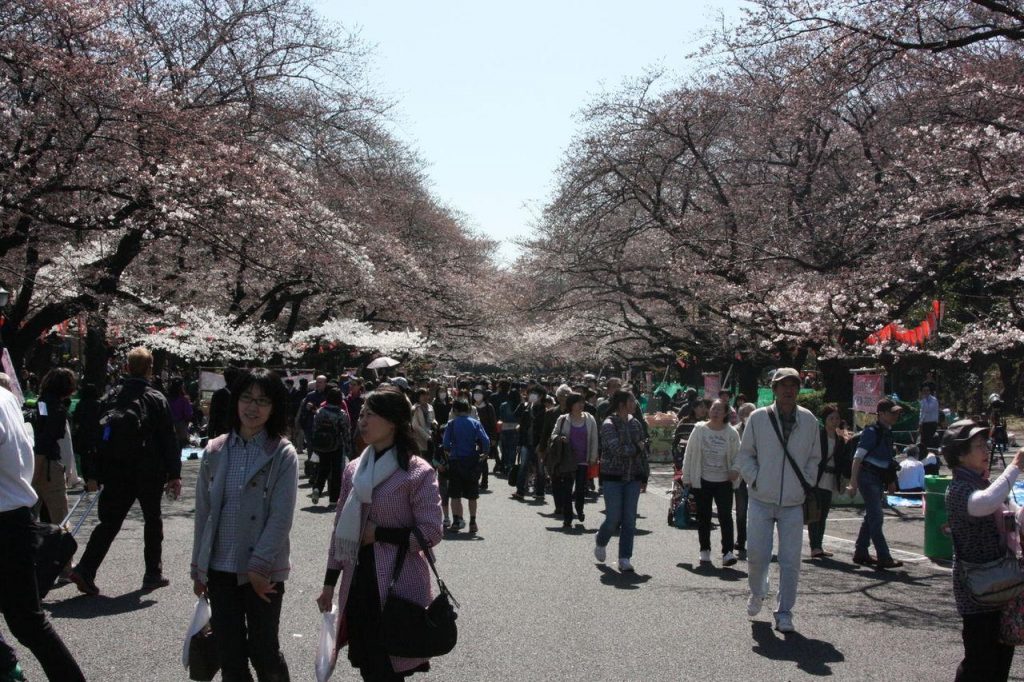 Allée du parc de Ueno à Tokyo