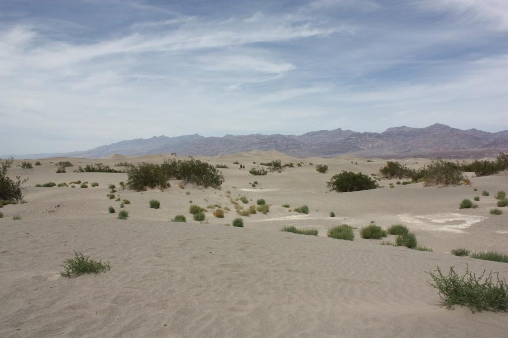 Premiers paysages de la Death Valley