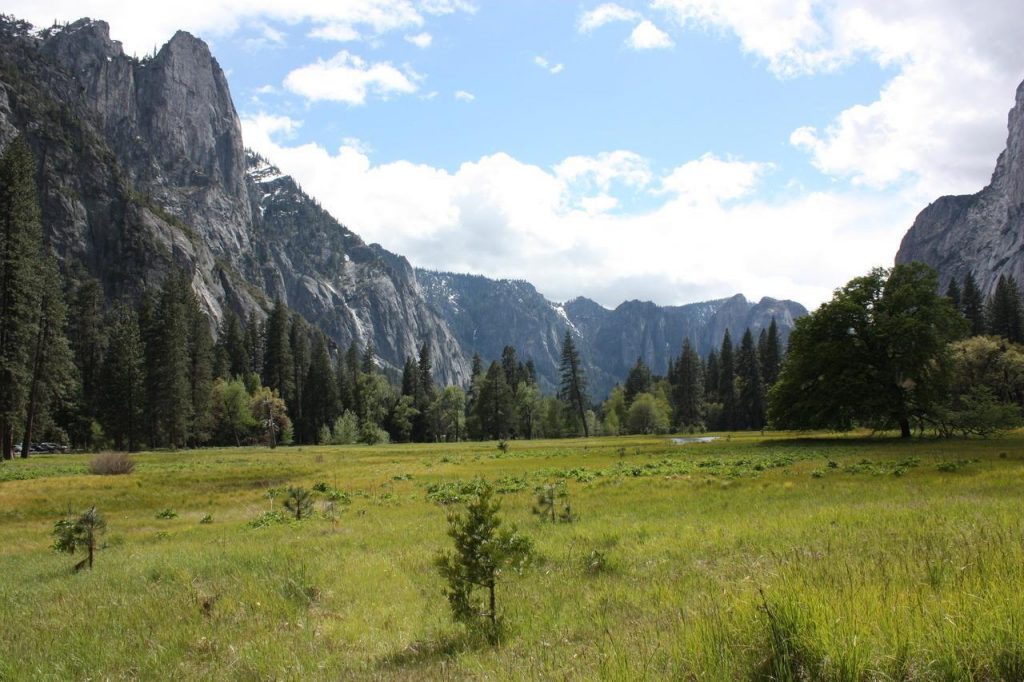 Paysage granitique dans Yosemite