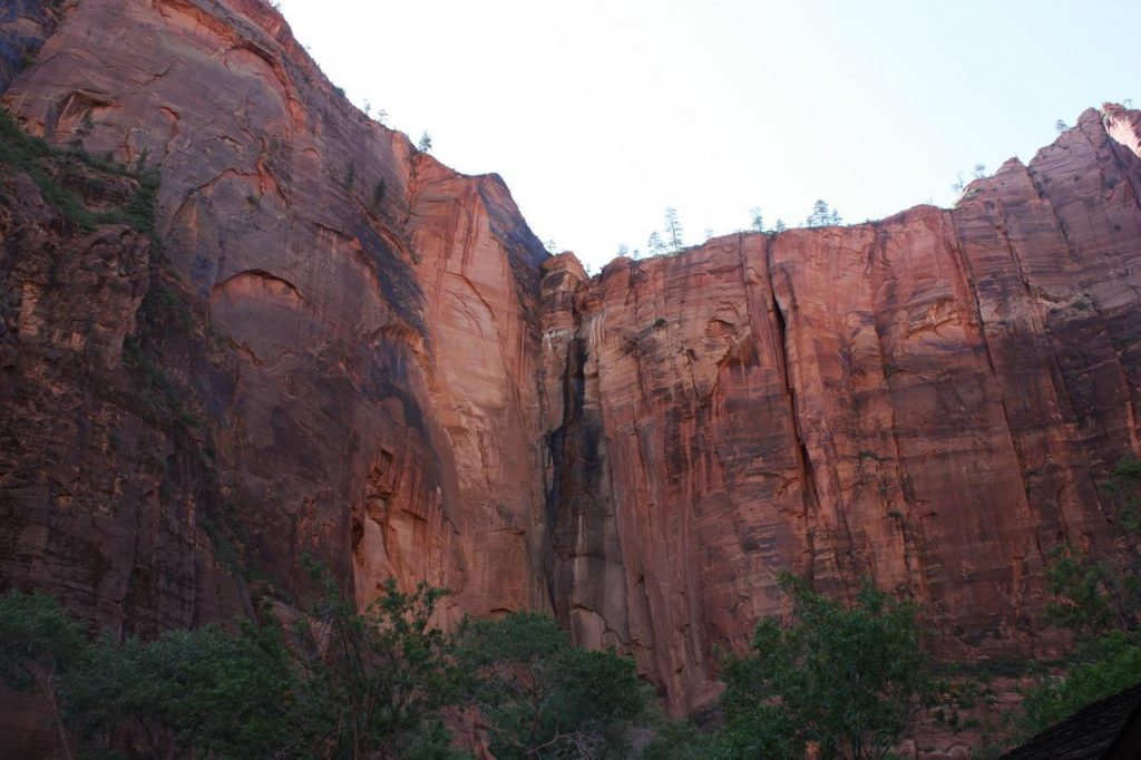 Roches rouges dans Zion National Park