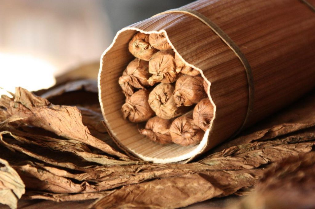 Cigares fabriqués à Viñales