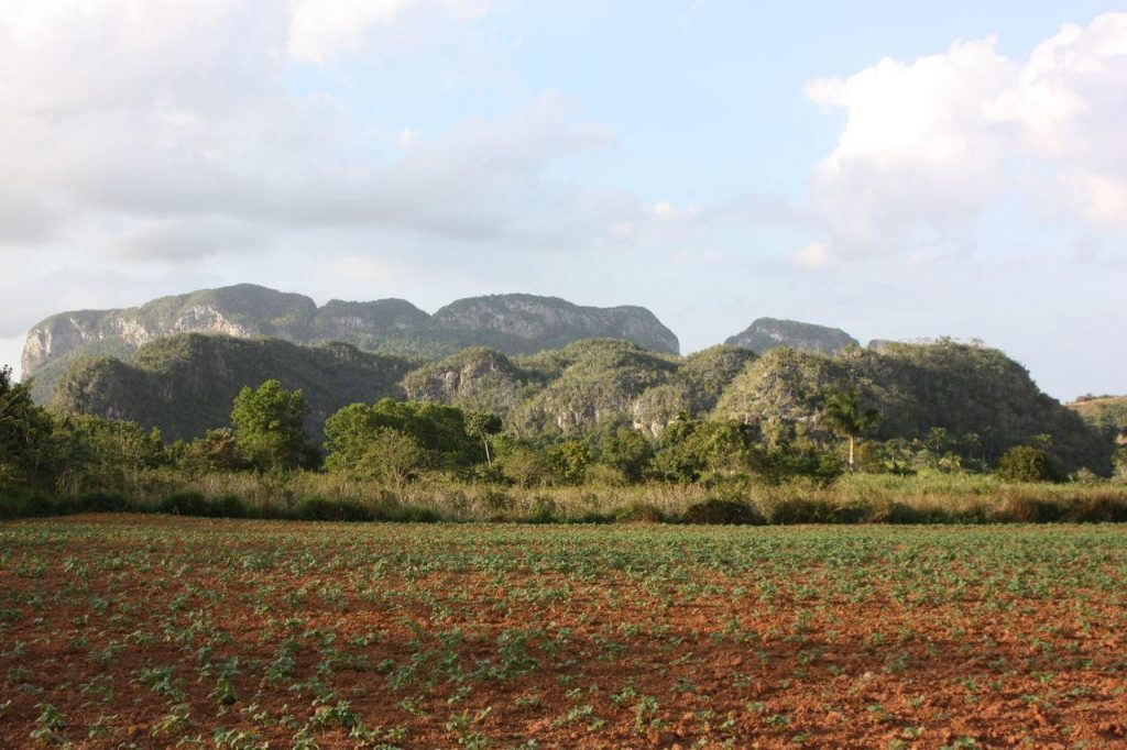 Vue sur la vallée de Viñales pendant la randonnée